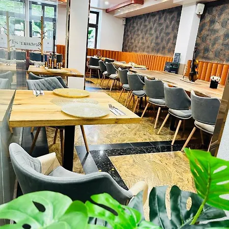 & Restaurant Levoslav House 4* Sibiu